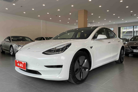 上海二手特斯拉Model 3 2019款 长续航全轮驱动版