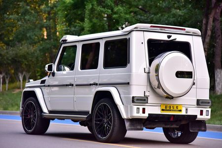 日照二手奔驰G级 2013款 G 500