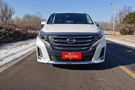 唐山二手传祺M8 2020款 领航款 390T 至尊版
