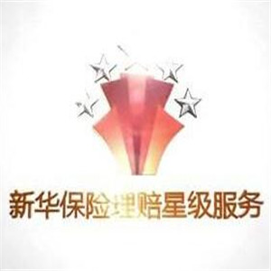 新华汽车保险代理步骤